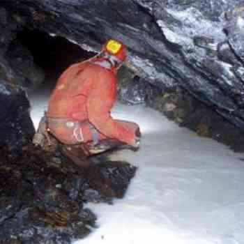 Click para ampliar. Pulsa en el nombre para ver la ficha. leche de luna